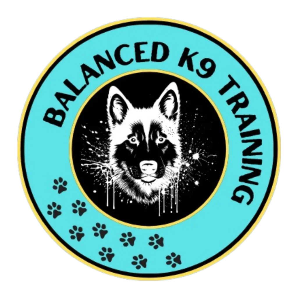 Balanced K9 Training